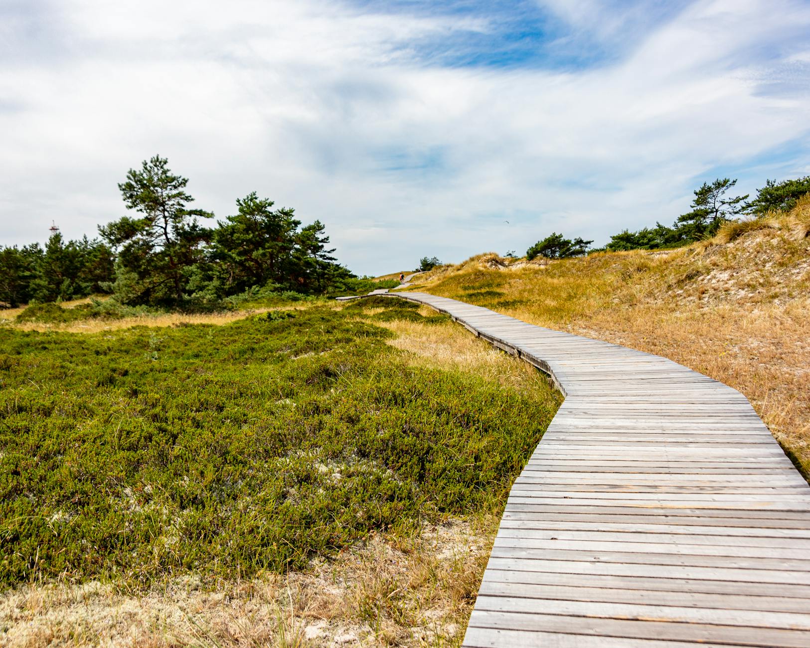 Kostenloses Stock Foto zu beratung, boddenlandschaft, bohlenwanderweg