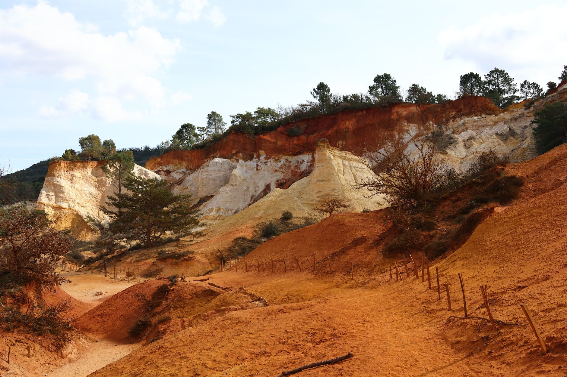 Kostenloses Stock Foto zu baum, berg, canyon