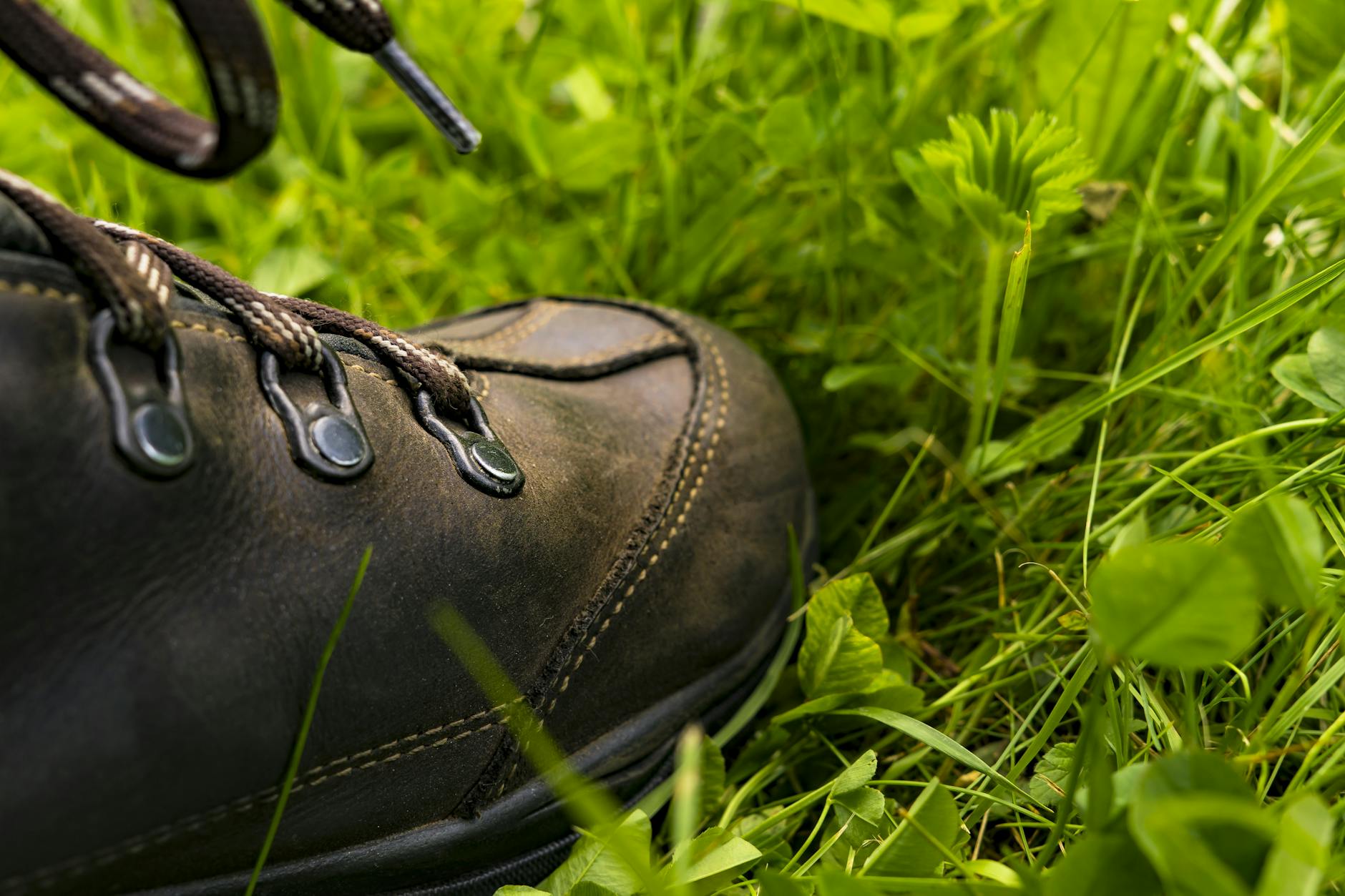 Schwarzer Lederschuh Auf Dem Rasen