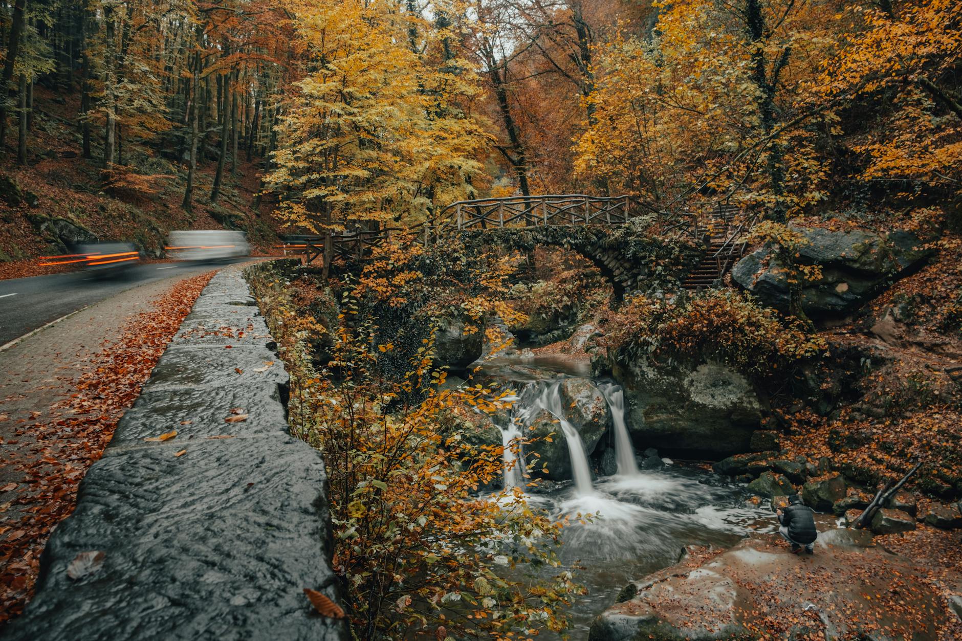 Kostenloses Stock Foto zu atmosfera de outono, bekannt, herbst