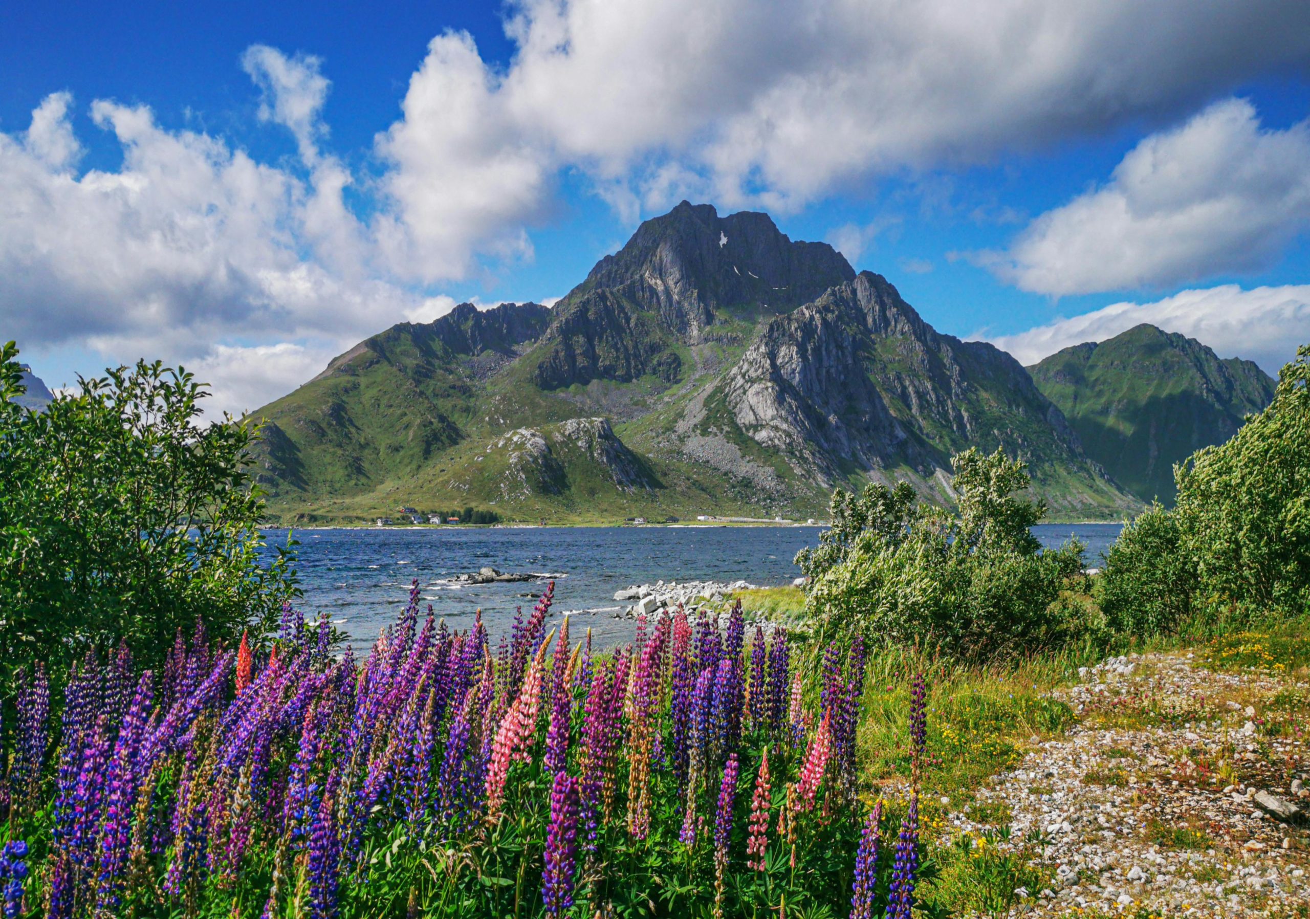 Kostenloses Stock Foto zu aber, arktis, arktische landschaft