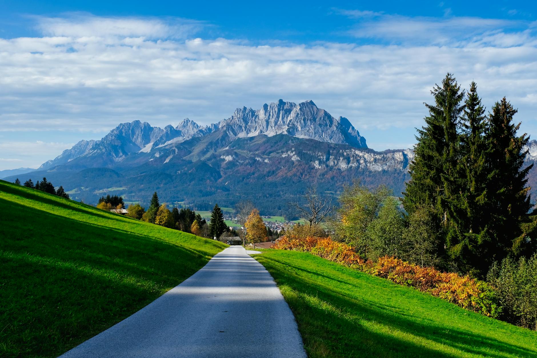 Kostenloses Stock Foto zu außerorts, baum, beratung