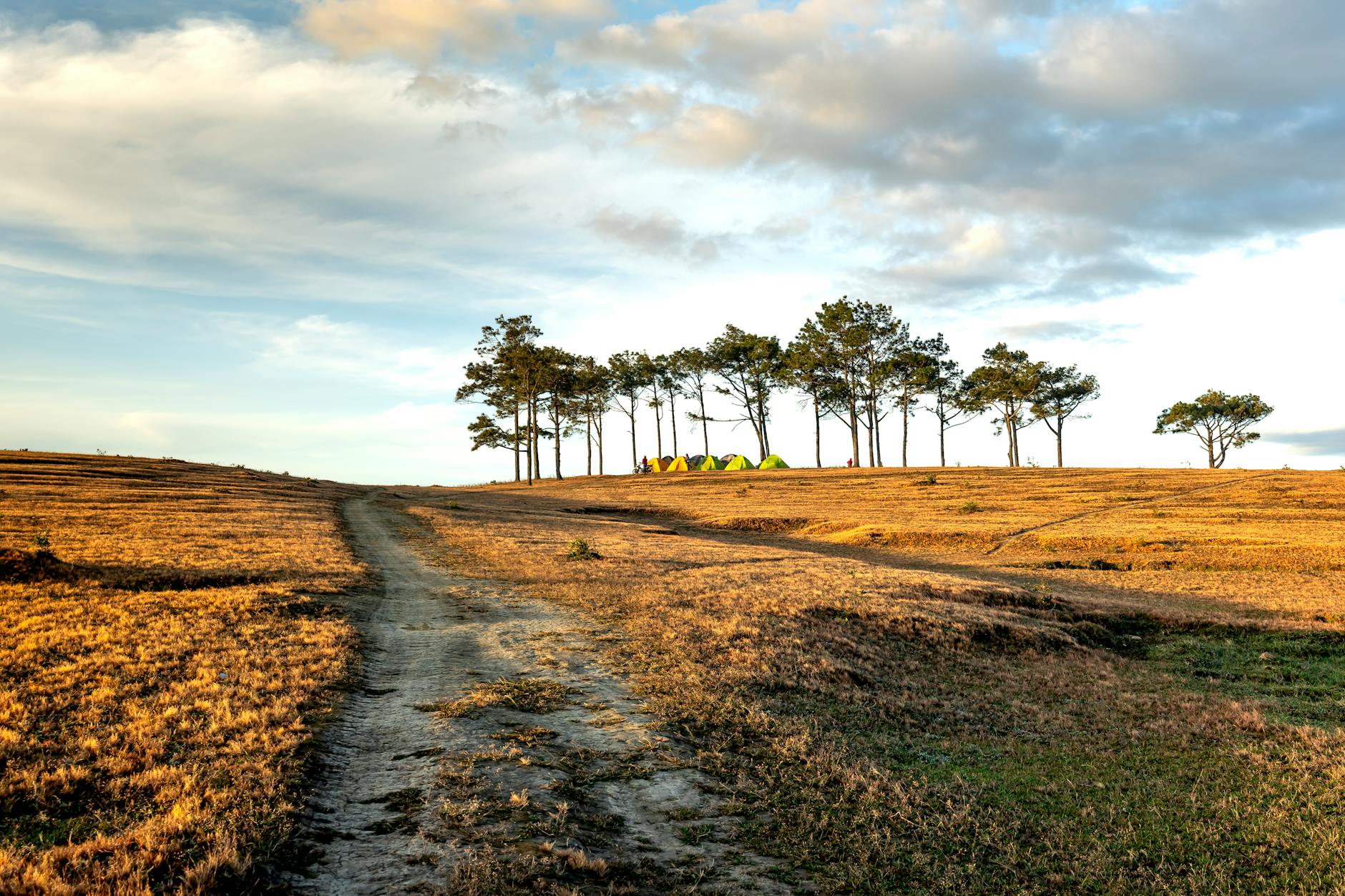 Kostenloses Stock Foto zu blauer himmel, campinggelände, grasfläche