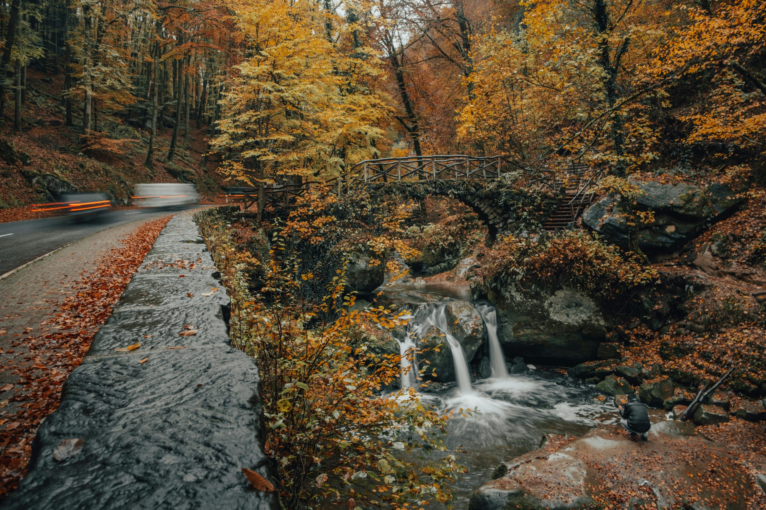 Kostenloses Stock Foto zu atmosfera de outono, bekannt, herbst